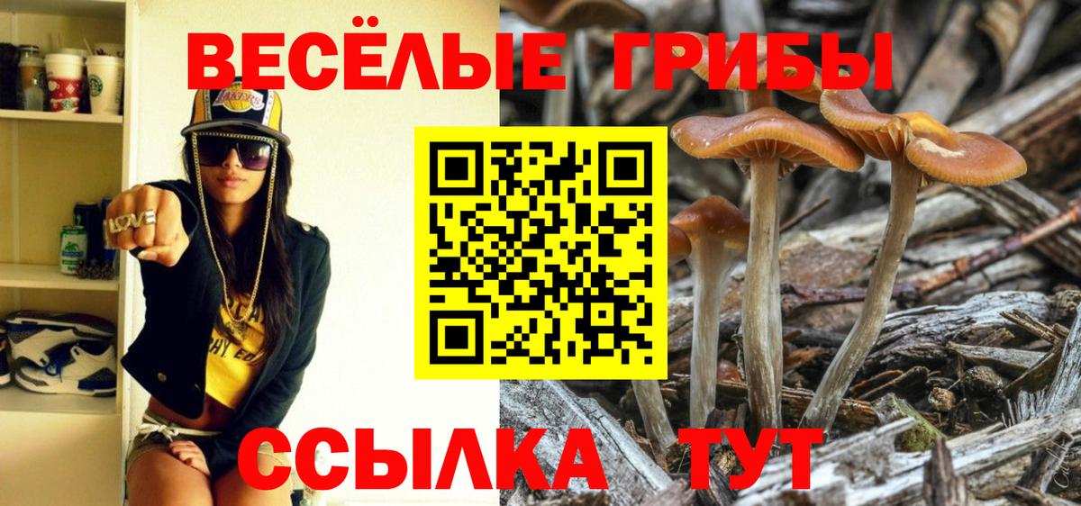 Псилоцибиновые грибы GOLDEN TEACHER Миасс